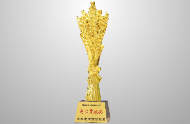 榮獲商務部中國電商扶貧聯盟“2019年突出貢獻獎”.jpg