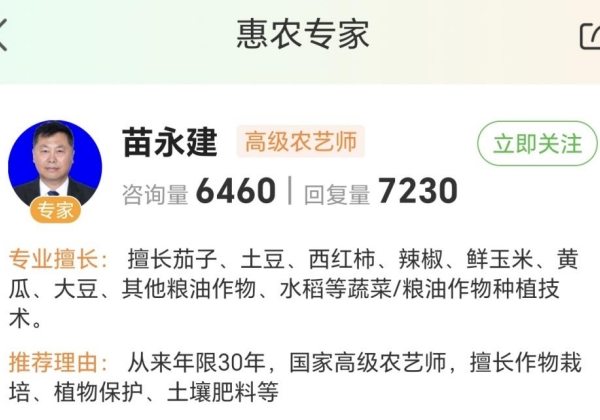 惠農網農技專家苗永建：傳技“多面手”，讓玉米平均單產達1.34萬公斤/公頃